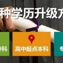 成都市金牌思維教育咨詢有限責(zé)任公司 專業(yè)教育咨詢，點(diǎn)亮成長之路